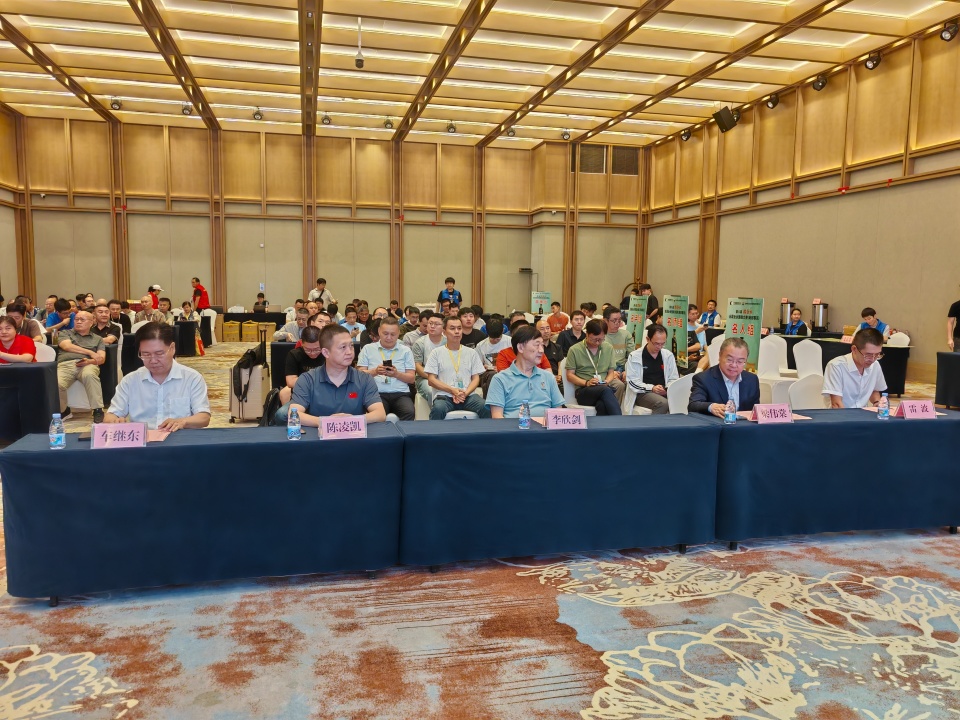 的人文气息, ODD, 赛加总决赛